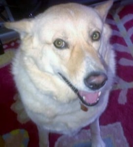 img-20120511-00014 (1)